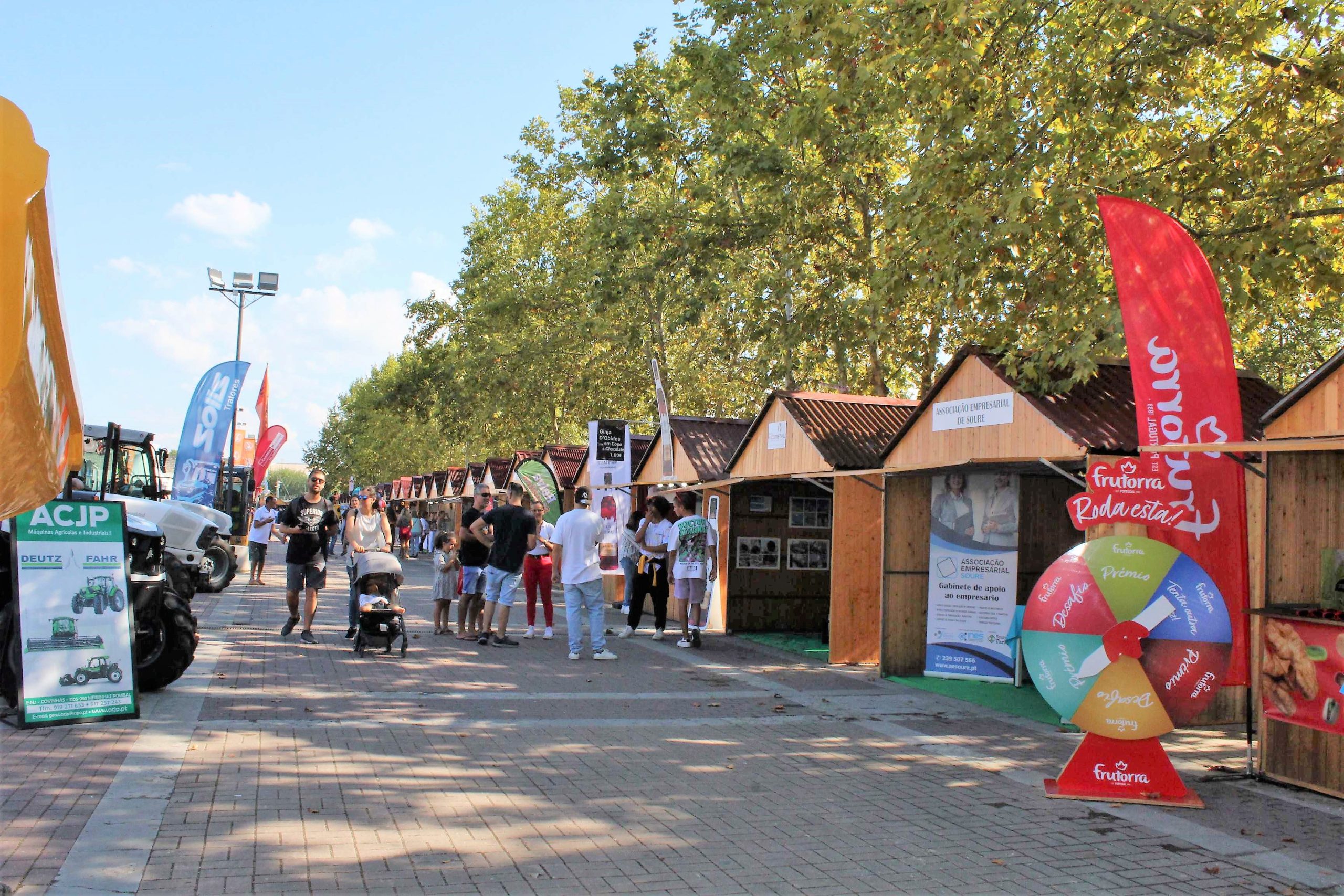 banner site 6