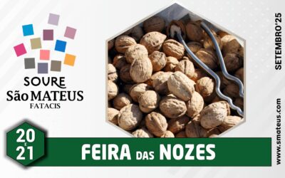 Feira das Nozes mantém tradição e dita preços dos frutos secos na região